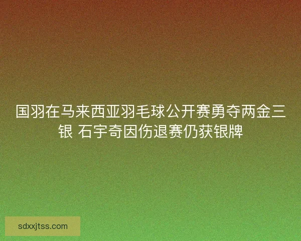 国羽在马来西亚羽毛球公开赛勇夺两金三银 石宇奇因伤退赛仍获银牌